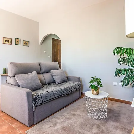 Daire 1 Bedroom Awesome In *
