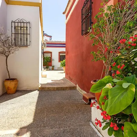 Daire 1 Bedroom Awesome In Torrevieja